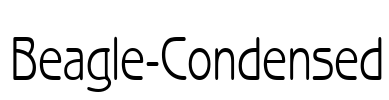 Beagle-Condensed