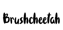 Brushcheetah Font Image