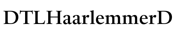 DTLHaarlemmerD Font Image