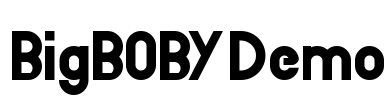 BigBOBY Demo