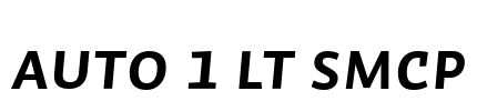 Auto 1 Lt SmCp