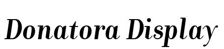 Donatora Display