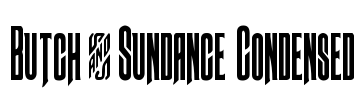 Butch & Sundance Condensed