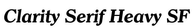 Clarity Serif Heavy SF Font Image