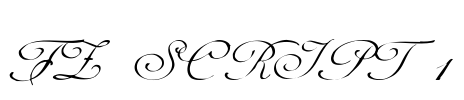 FZ SCRIPT 1