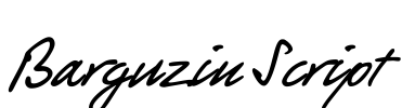 Barguzin Script Font Image