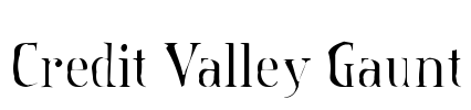 Credit Valley Gaunt