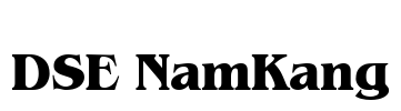 DSE NamKang