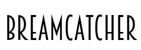 Breamcatcher