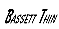 Bassett Thin Font Image