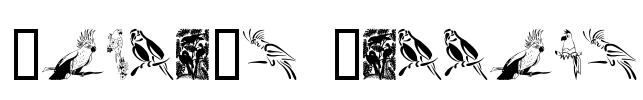 Moyra's Parrots