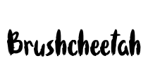 Brushcheetah Font Image