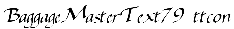 BaggageMasterText79 ttcon Font Image