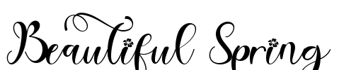 Beautiful Spring Font Image
