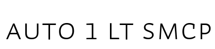 Auto 1 Lt SmCp