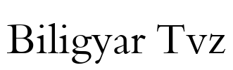 Biligyar Tvz Font Image