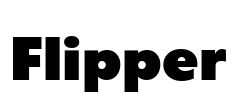 Flipper