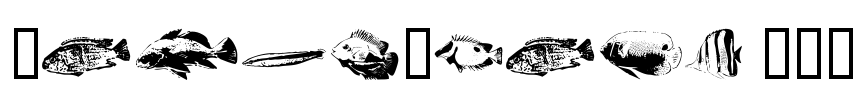 FishyPrint AOE