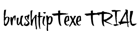 brushtipTexe TRIAL Font Image