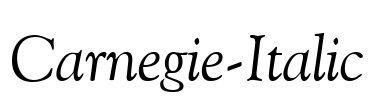 Carnegie-Italic Font Image