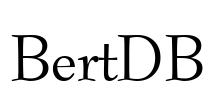 BertDB Font Image