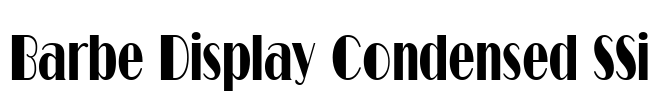 Barbe Display Condensed SSi Font Image