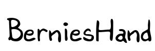 BerniesHand