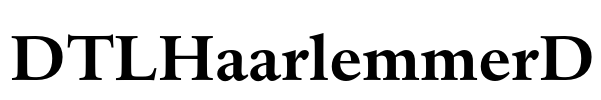 DTLHaarlemmerD Font Image