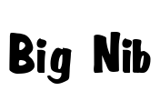 Big Nib Font Image