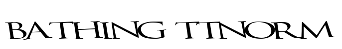 Bathing ttnorm Font Image