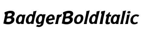 BadgerBoldItalic Font Image