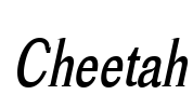 Cheetah Font Image