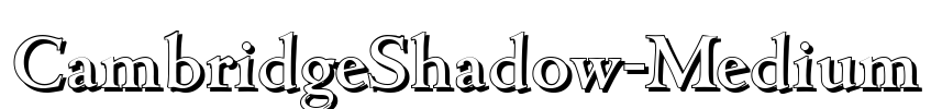 CambridgeShadow-Medium