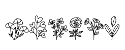 Botani Font Image