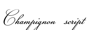 Champignon script