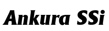 Ankura SSi