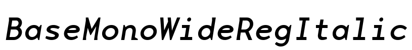 BaseMonoWideRegItalic Font Image