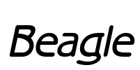 Beagle