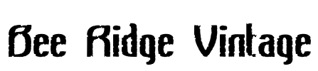 Bee Ridge Vintage