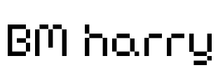 BM harry Font Image