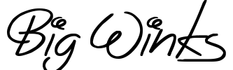 Big Winks Font Image