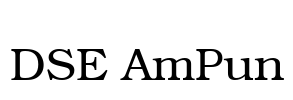 DSE AmPun Font Image