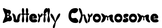 Butterfly Chromosome