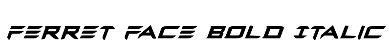 Ferret Face Bold Italic Font Image