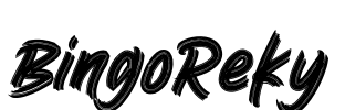 BingoReky