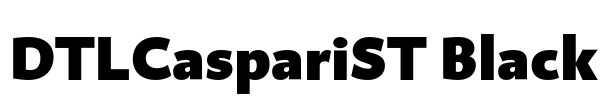 DTLCaspariST Black Font Image
