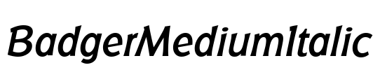 BadgerMediumItalic Font Image