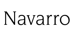 Navarro