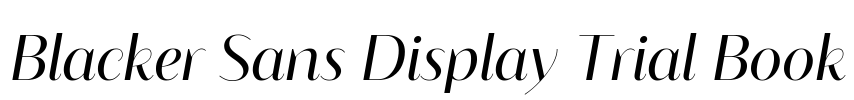 Blacker Sans Display Trial Book Font Image