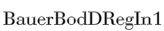 BauerBodDRegIn1 Font Image